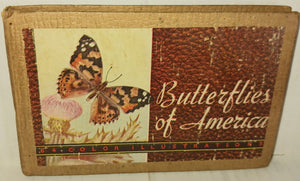 Lillian Davids Fazzini Butterflies and Moths of North Ametica Hardcover Book 1934 Whitman Publishing Company 34 Color Illustrations